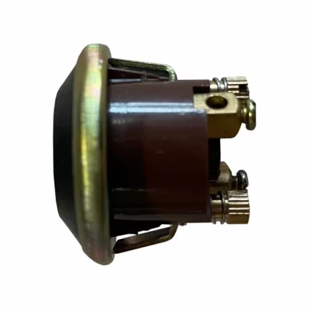 Start button 10A, 24V