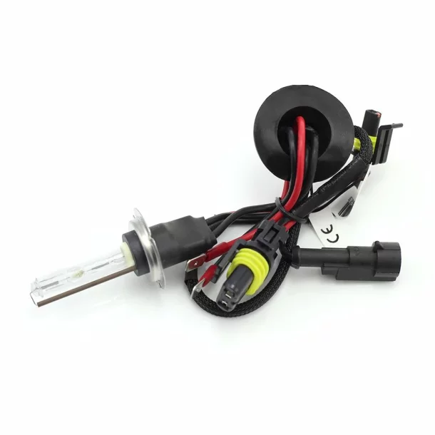 Bec Auto Xenon CARGUARD H7 6000K