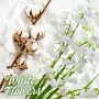 Odorizant cu atomizor Cayon K2 250ml - White Flowers