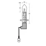 Bec halogen 12V - H1- 100W Xenium Race P14,5s 2buc + Pachet bonus