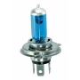 12V Blu-Xe halogen lamp - HS1 35/35W PX43t 1pcs