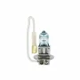 Bec halogen Osram 12V - H3 - 55W Night Breaker Plus PK22s 1buc