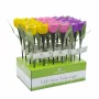 Solar Powered LED Tulip Light