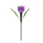 Solar Powered LED Tulip Light