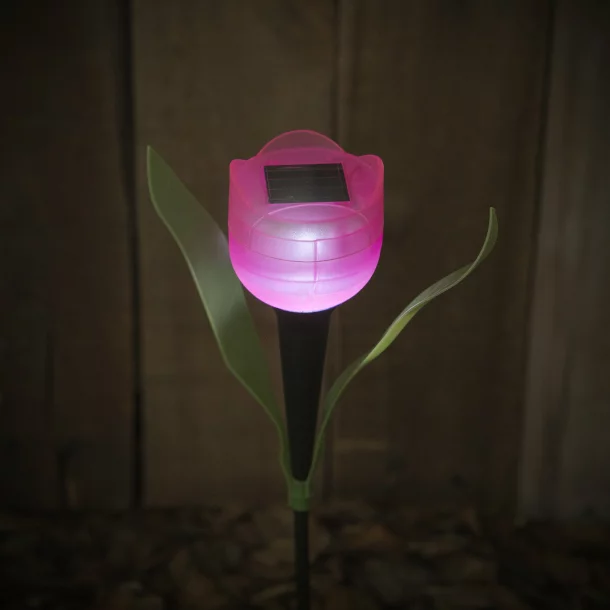 Solar Powered LED Tulip Light