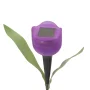 Solar Powered LED Tulip Light