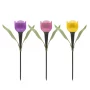 Solar Powered LED Tulip Light