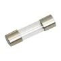 Sigurante rapide5 x 20 mm 1,6A