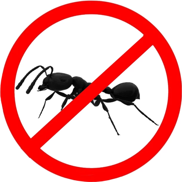 Raid bugs and ants repellent spray, 600ml with +50% EXTRA