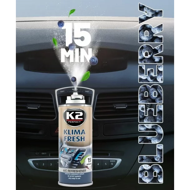 Spray pentru curatat si dezinfectat sistemul de aer conditionat, K2 KLIMA FRESH, 150ml, Coacaz